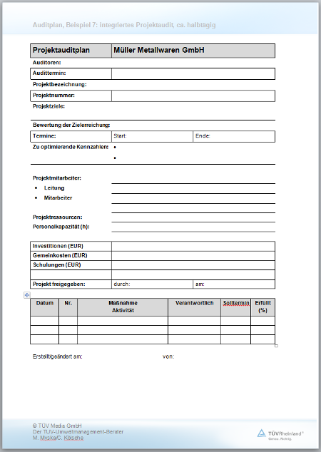 Musterauditpl ne